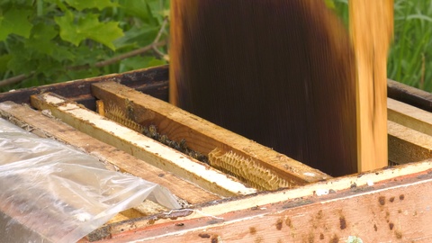山区养蜂场。养蜂人在工作。视频素材模板下载