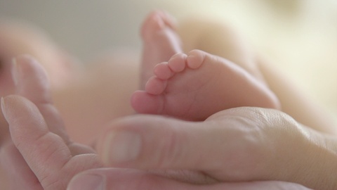 父母手中的婴儿脚。新生婴儿手上的小脚特写视频素材模板下载