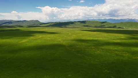 美丽的绿色那拉提草原