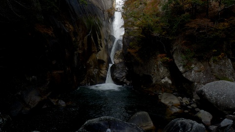 日本Shosenkyo峡谷的Senga瀑布（向上倾斜）视频素材模板下载