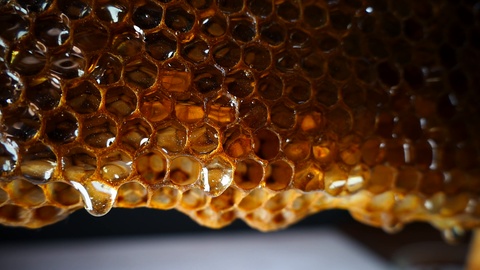 蜂蜜顺着蜂巢蜂蜜滴落特写