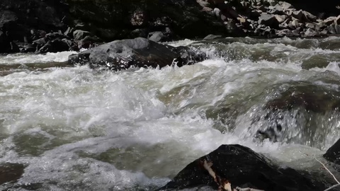 河水湍急流过岩石视频素材模板下载