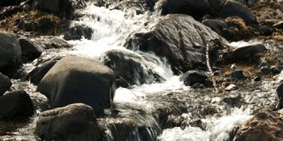巴塔哥尼亚仙女森林中的山溪和小瀑布。