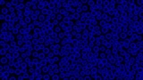 显微镜微生物蓝4k高清在线视频素材下载