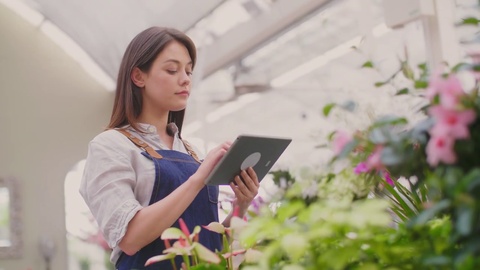 女售货员在使用数字平板电脑检查商店鲜花
