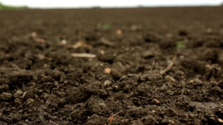 田间土壤的特写照片视频素材模板下载