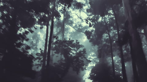 黑暗森林