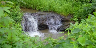 小瀑布在丛林中流动的水流
