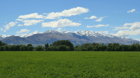 新西兰的山脉与绿色草原