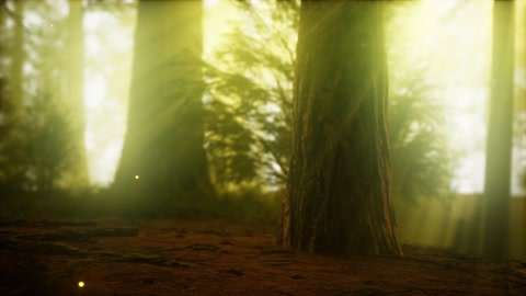 雾蒙蒙森林里的萤火虫特写镜头