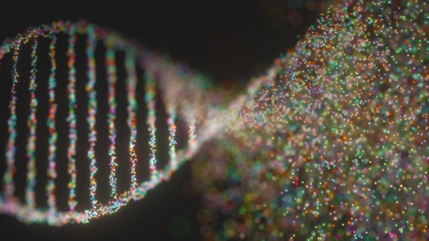 DNA氧化损伤遗传障碍分子结构