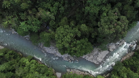 无人机拍摄到的雨林树冠和兰达克河上方