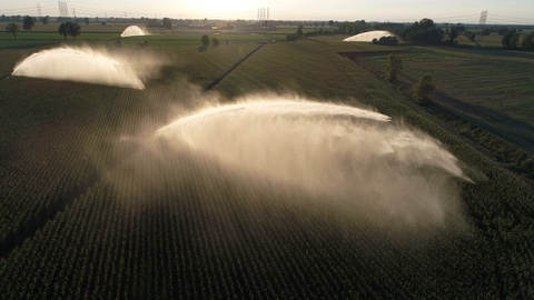 无人机惊人的玉米田灌溉