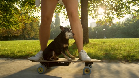 主人和狗一起滑滑板
