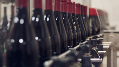 葡萄酒瓶在一个葡萄酒装瓶工厂的传送带上