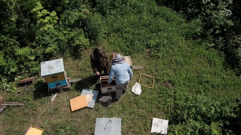 山地养蜂场。养蜂人在工作。鸟瞰图。视频素材模板下载