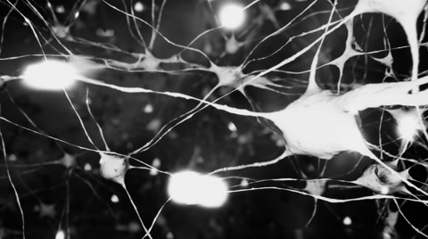 一个非常活跃的大脑或神经网络的可视化视频素材模板下载