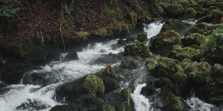 翻译：小瀑布从岩石上流下来，在岩石间奔腾的山间小溪