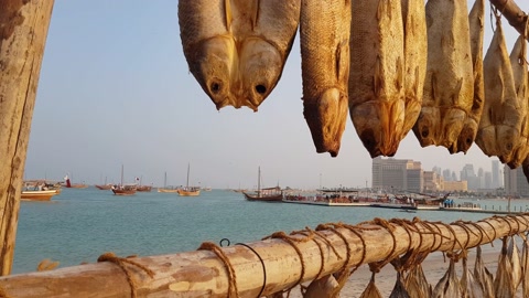 卡塔尔海滩旁的传统街头小吃烟熏干鱼。
多哈视频素材模板下载