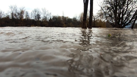 季节性降雨过后，缓慢的水流以低角度淹没了河岸上的草木视频素材模板下载