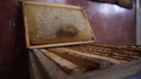 蜂蜜框架慢动作100帧/秒视频素材模板下载