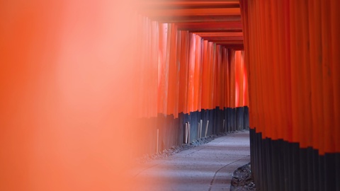 日本京都红门的视频