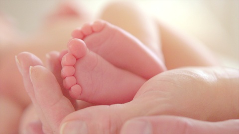 家长手中的宝宝脚近距离拍摄的婴儿小小的脚在手上