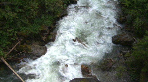 狂野的湍急河流，#9视频素材模板下载