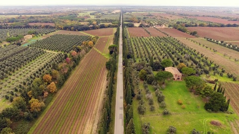 空中拍摄，两排柏树之间的道路，处于耕作中间视频素材模板下载