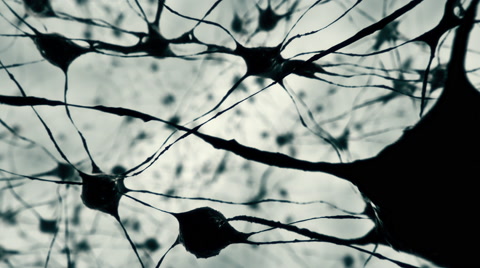 大脑或神经网络的可视化。视频素材模板下载