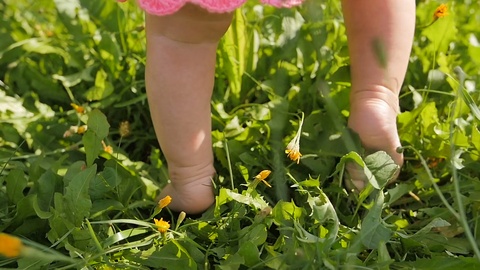 小婴儿学会走路。慢动作。夏天在绿草上迈出第一步视频素材模板下载