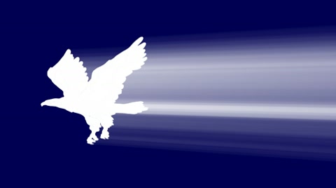 飞行的鹰动画视频素材模板下载