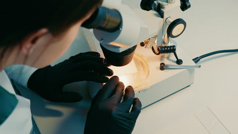 女微生物学家在显微镜下寻找细菌。一个研究员