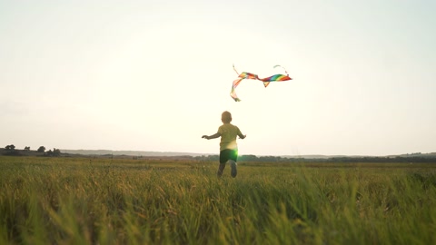 快乐的孩子放飞风筝男孩在公园的绿草地上奔跑孩子们在玩耍视频素材模板下载