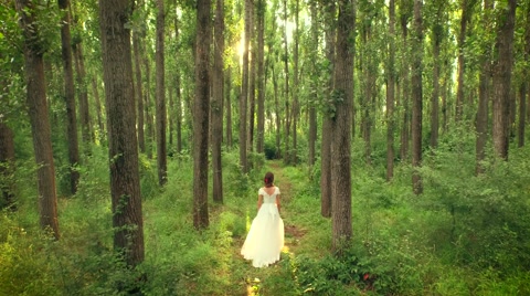年轻的女人走向树林深处