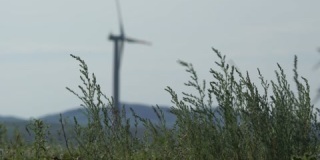 在田野背景下移动大型风力涡轮机的叶片