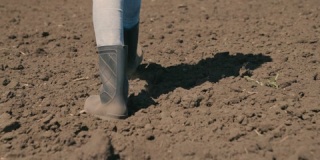 农业，一个农民穿着橡胶靴走在拖拉机犁过的土地上，走在