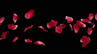 玫瑰花瓣带透明图层的3D动画流动视频素材模板下载