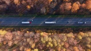 秋天的公路视频素材模板下载