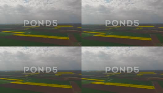 宽阔的农田全景照片，用油菜籽、油菜种植高清在线视频素材下载