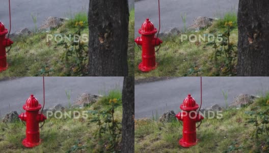 俄勒冈州中部太阳河度假村路边的红色消防栓。-高清在线视频素材下载