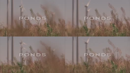 西部风电场，CU草，背景风力涡轮机高清在线视频素材下载