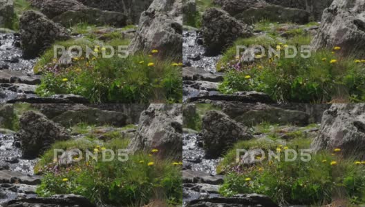 翻译：绿色的比利牛斯山中有小瀑布瀑布高清在线视频素材下载