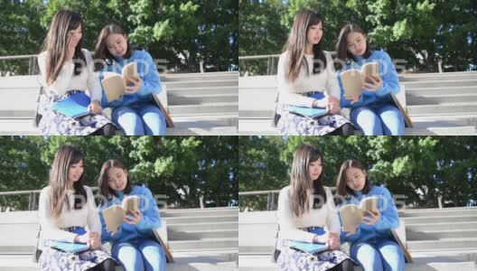 两个大学生在看书高清在线视频素材下载