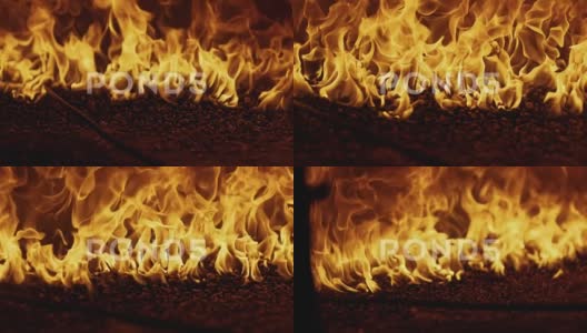 旧石炉中火焰的慢动作图像。坚果壳燃烧。高清在线视频素材下载