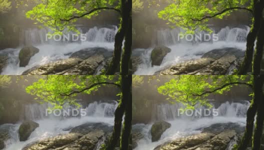 美丽的自然风景，带有小瀑布和背光中的绿树高清在线视频素材下载