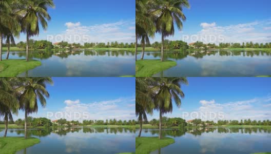 风景如画的热带景观，蓝镜湖棕榈树和多云的天空。 高清在线视频素材下载