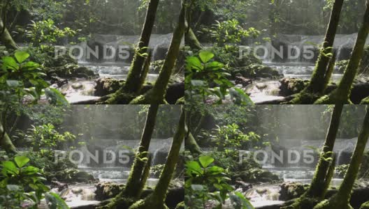 绿色丛林中隐藏着小瀑布的美景。高清在线视频素材下载