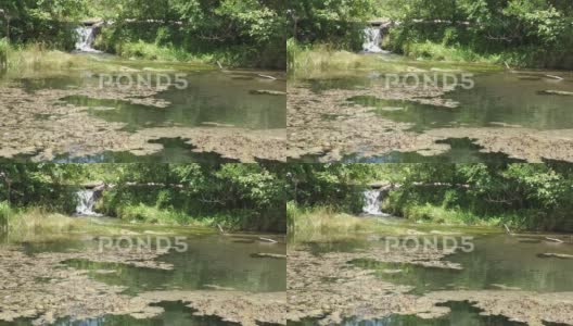 广角稳定镜头拍摄一个小瀑布流入一个池塘的景象高清在线视频素材下载