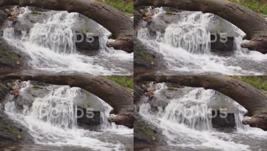 带瀑布的森林河流，森林中的小瀑布，特写，4K高清在线视频素材下载